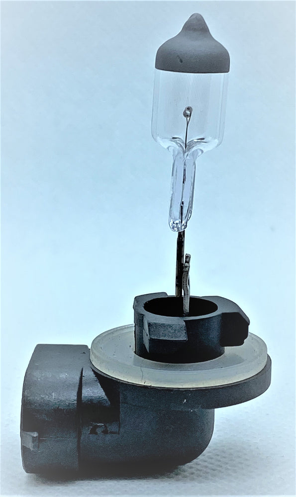 Standard 896 Halogen Bulb