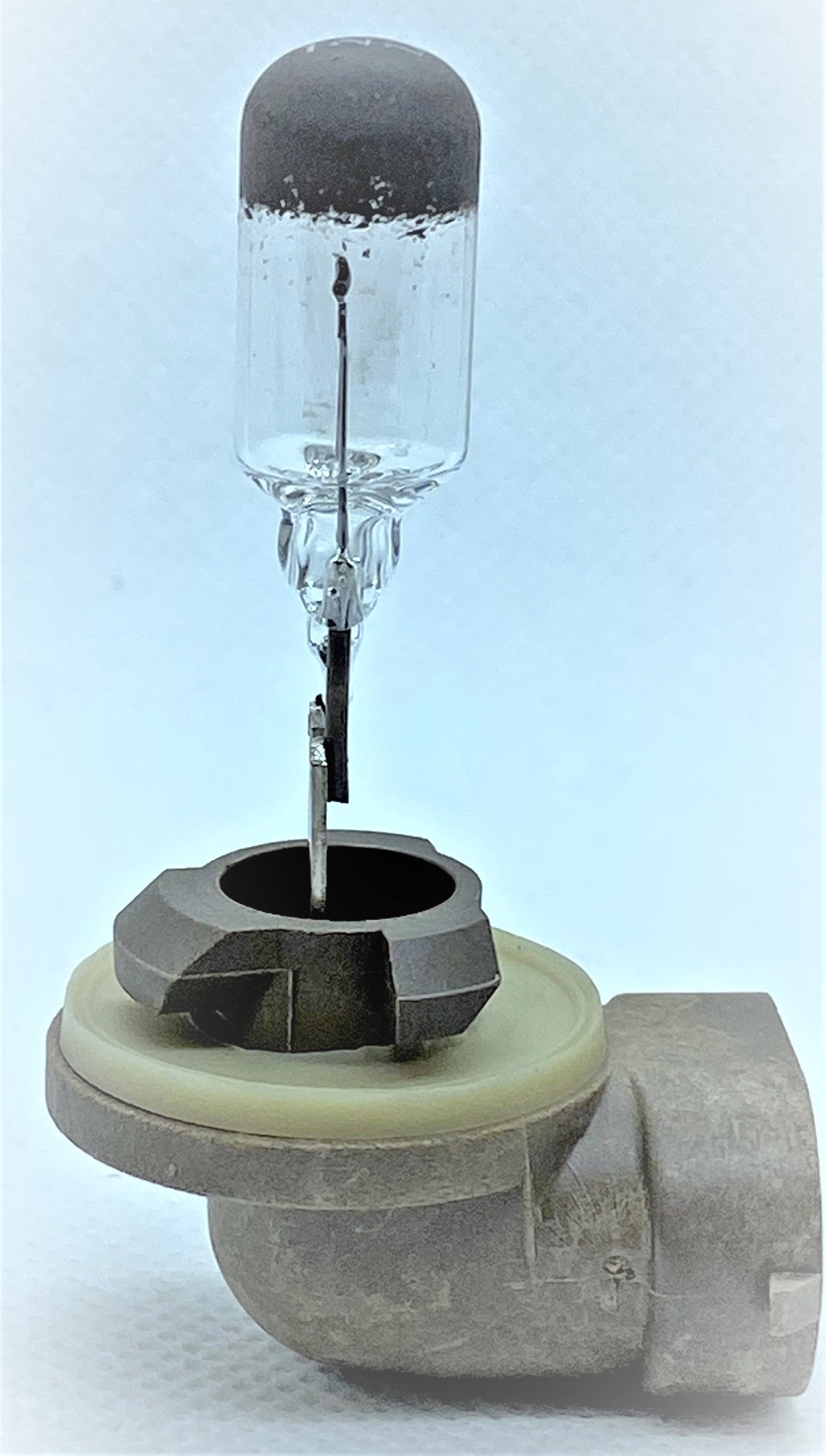 Standard 881 Halogen Bulb